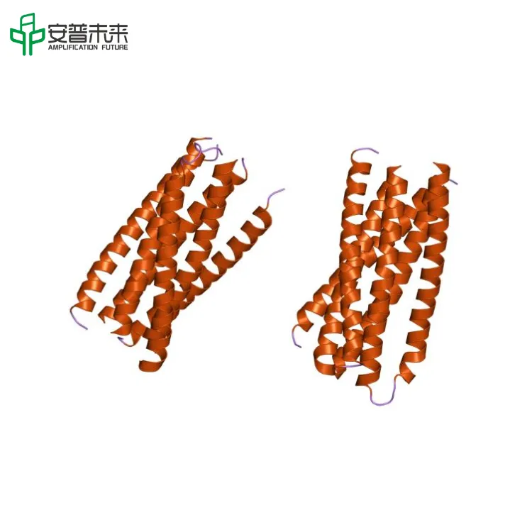 GP41 protein 2. 0