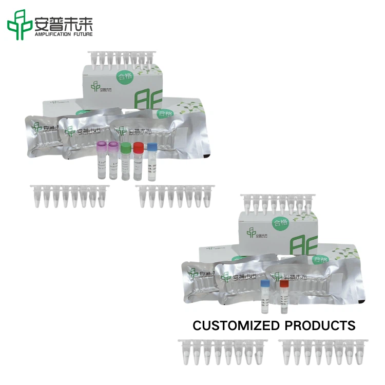 Mira SARS-COV -2 n gen/referentna RNase P Nuclein Acid Test Strip Detection komplet istraživanja samo koristi